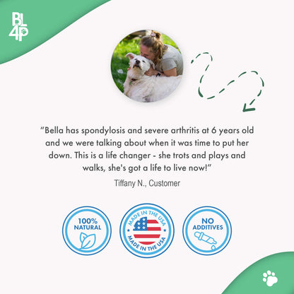 WALK-EASY™ Extra Strength Natural Pain Relief for Dogs - Helps Dog Joint Pain, Arthritis, ACL, Limping and More by BestLife4Pets