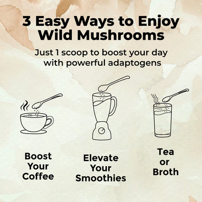Wholesale of 10 - Master Shrooms Five Mushrooms Blend - Adaptogens + Prebiotic Powerhouse