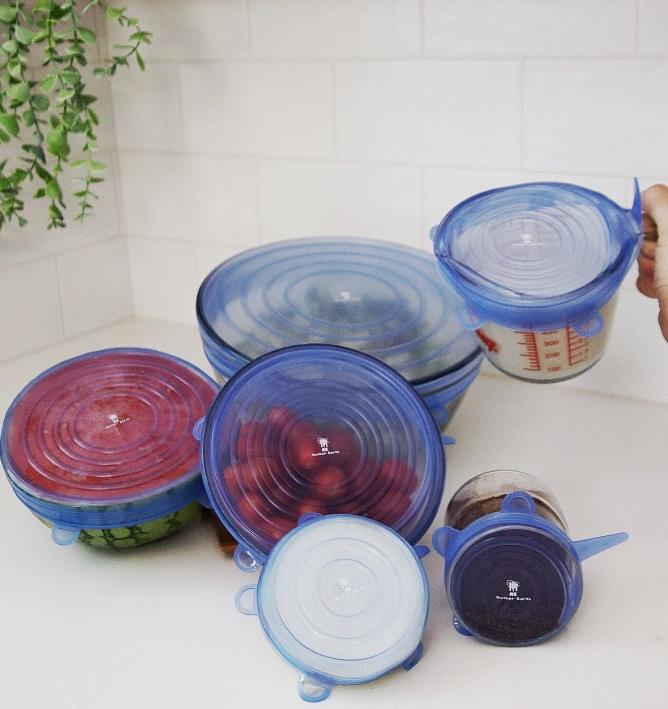 Silicone Food and Bowl Covers- 6 Pack