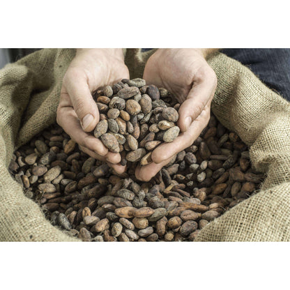 Wholesale of 10 - Wild Cocoa Powder - Organic, Single-Origin, Small farms