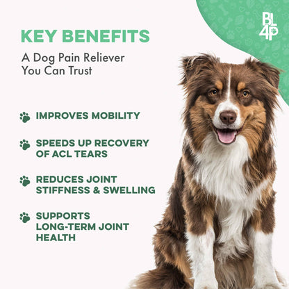 WALK-EASY™ Extra Strength Natural Pain Relief for Dogs - Helps Dog Joint Pain, Arthritis, ACL, Limping and More by BestLife4Pets