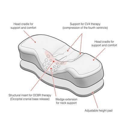 Largo Pillow : Smoother Neck Contour by KANUDA USA