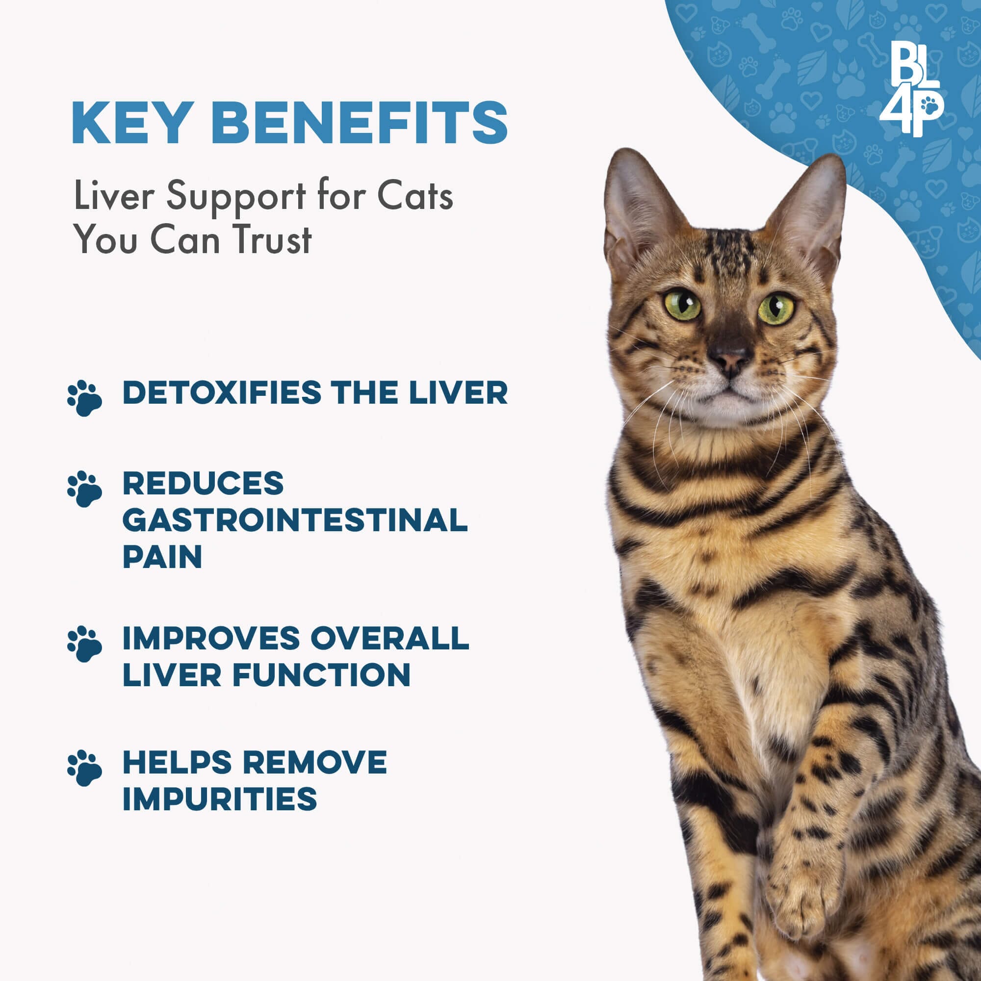 Natural Hepatic Liver Support for Cats by BestLife4Pets