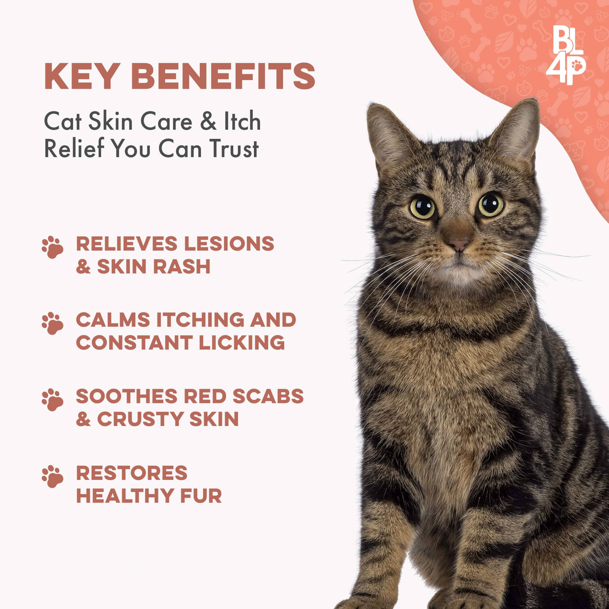 Mange Treatment for Cats - Treats Feline Sarcoptic & Demodectic Mange, Scabies & Ear Mites by BestLife4Pets