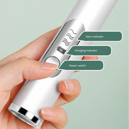 USB Handheld Frother and Whisk