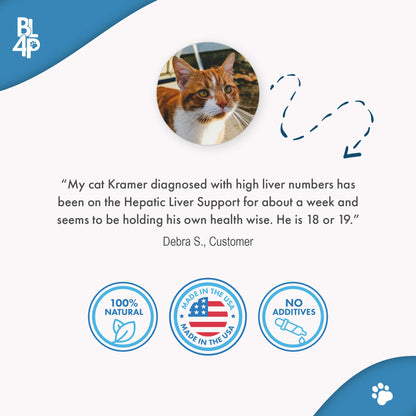 Natural Hepatic Liver Support for Cats by BestLife4Pets