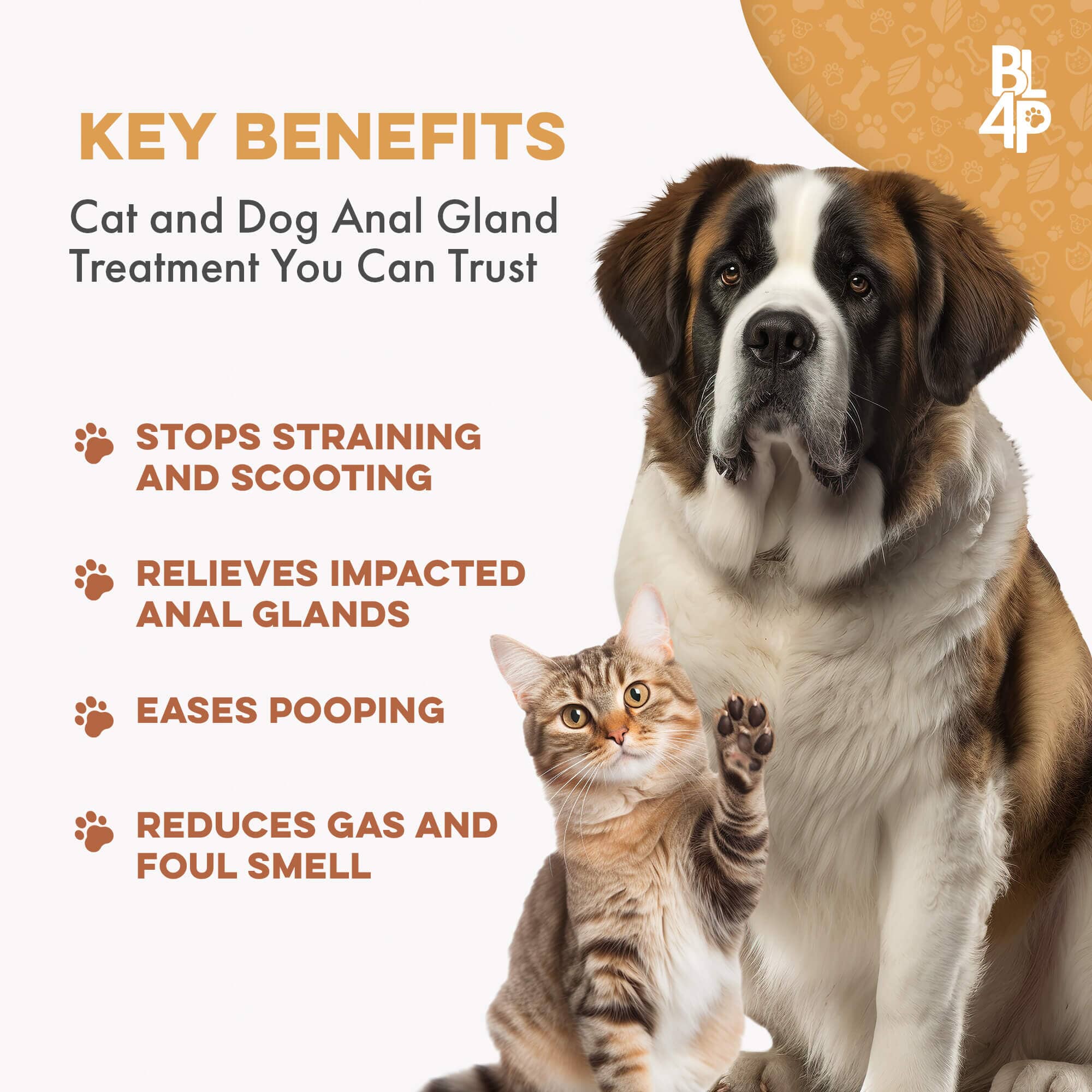 Scoot Stopper & Anal Gland Support for Dogs and Cats by BestLife4Pets