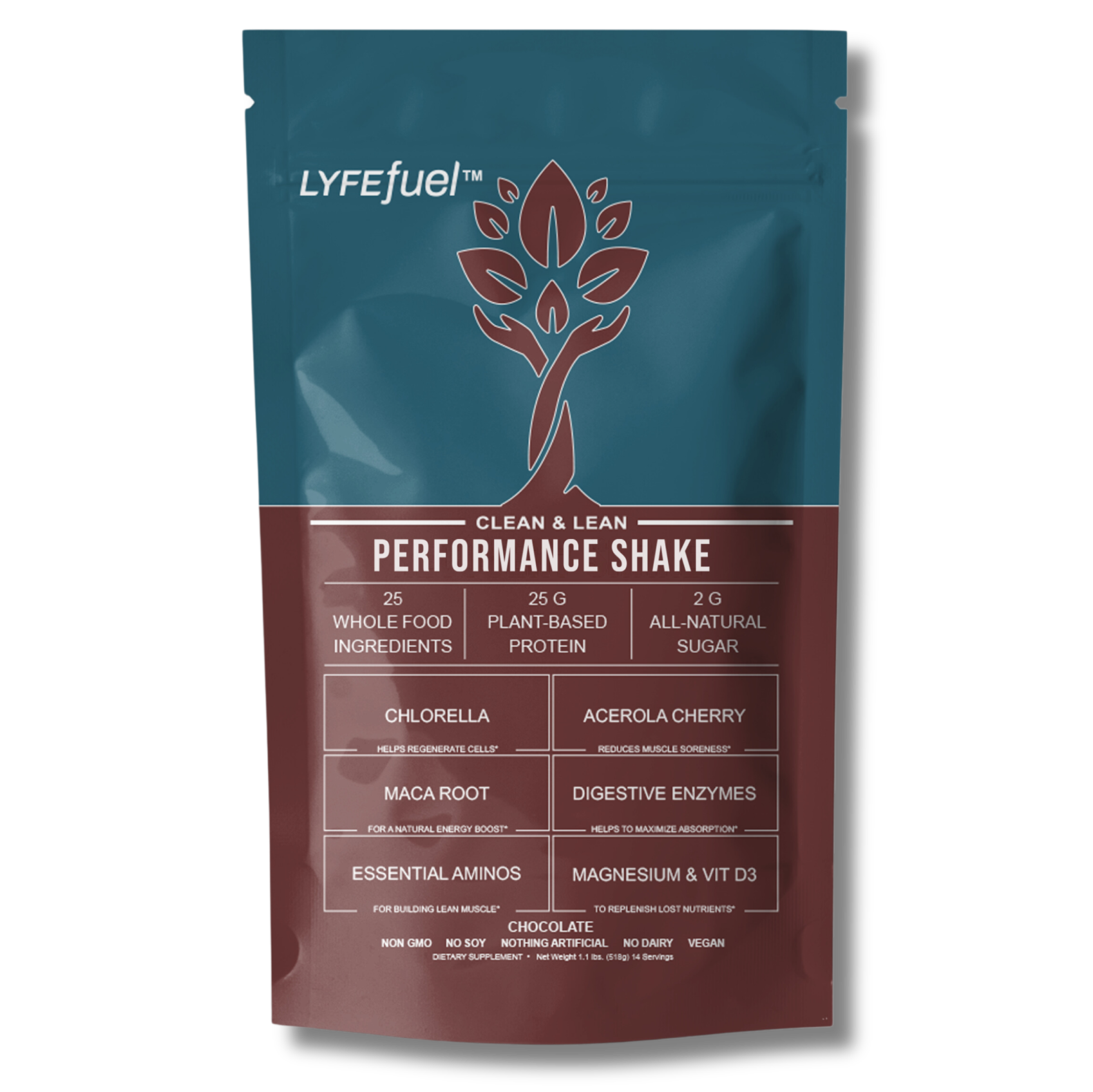 Performance Shake by LyfeFuel