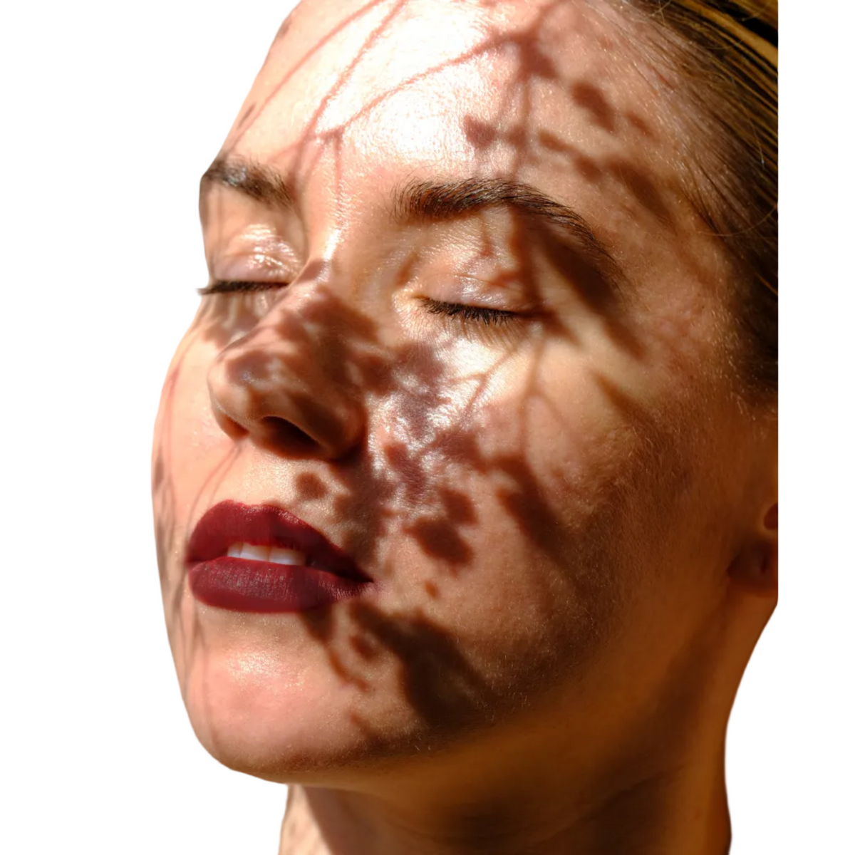 Vegan Multistick Makeup for Cheeks & Lips