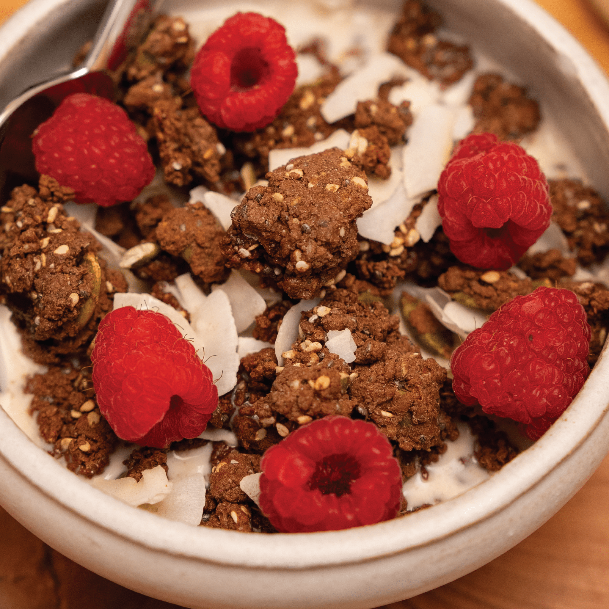 ProGranola® Chocolate Cluster
