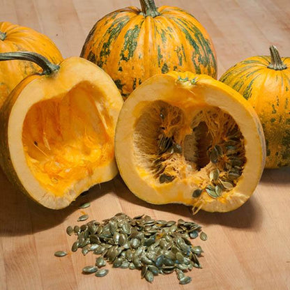 Styrian Pumpkin Seeds, Sprouted Organic