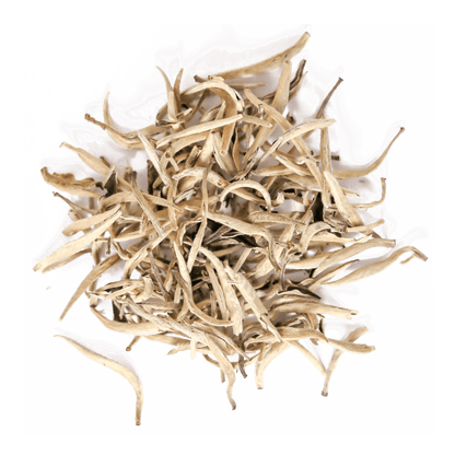 Silver Needle by Open Door Tea CT