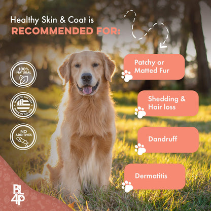 Healthy Skin & Coat for Dogs by BestLife4Pets