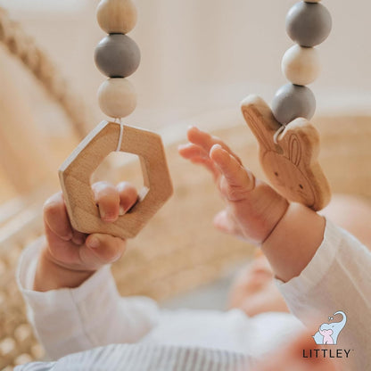 Littley Toy & Surface Cleaner | Gentle HOCl Toy & Surface Spray