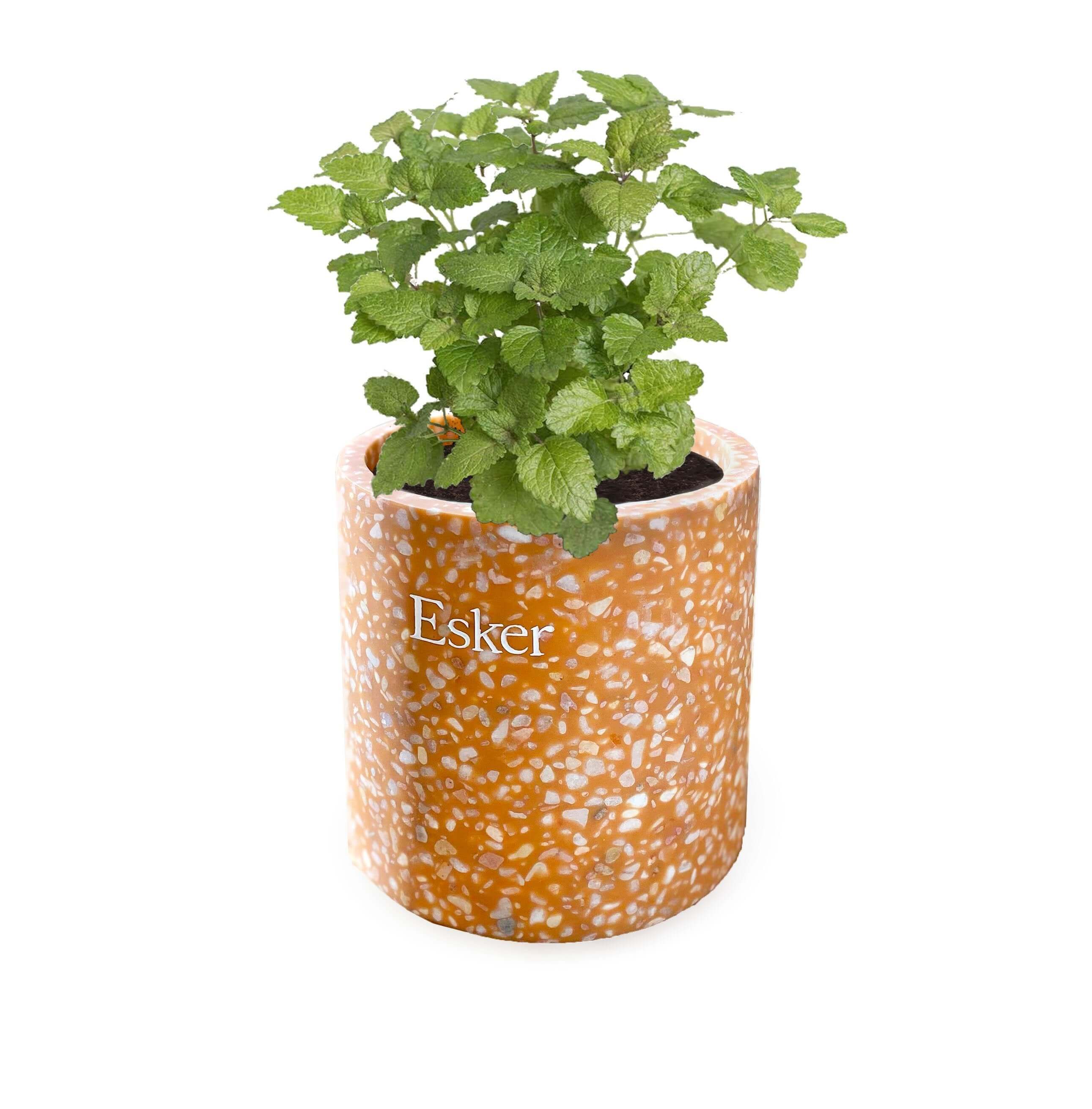 Esker Plantable Candle - Thumbnail 3