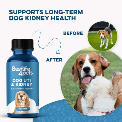 Dog UTI & Kidney Support by BestLife4Pets