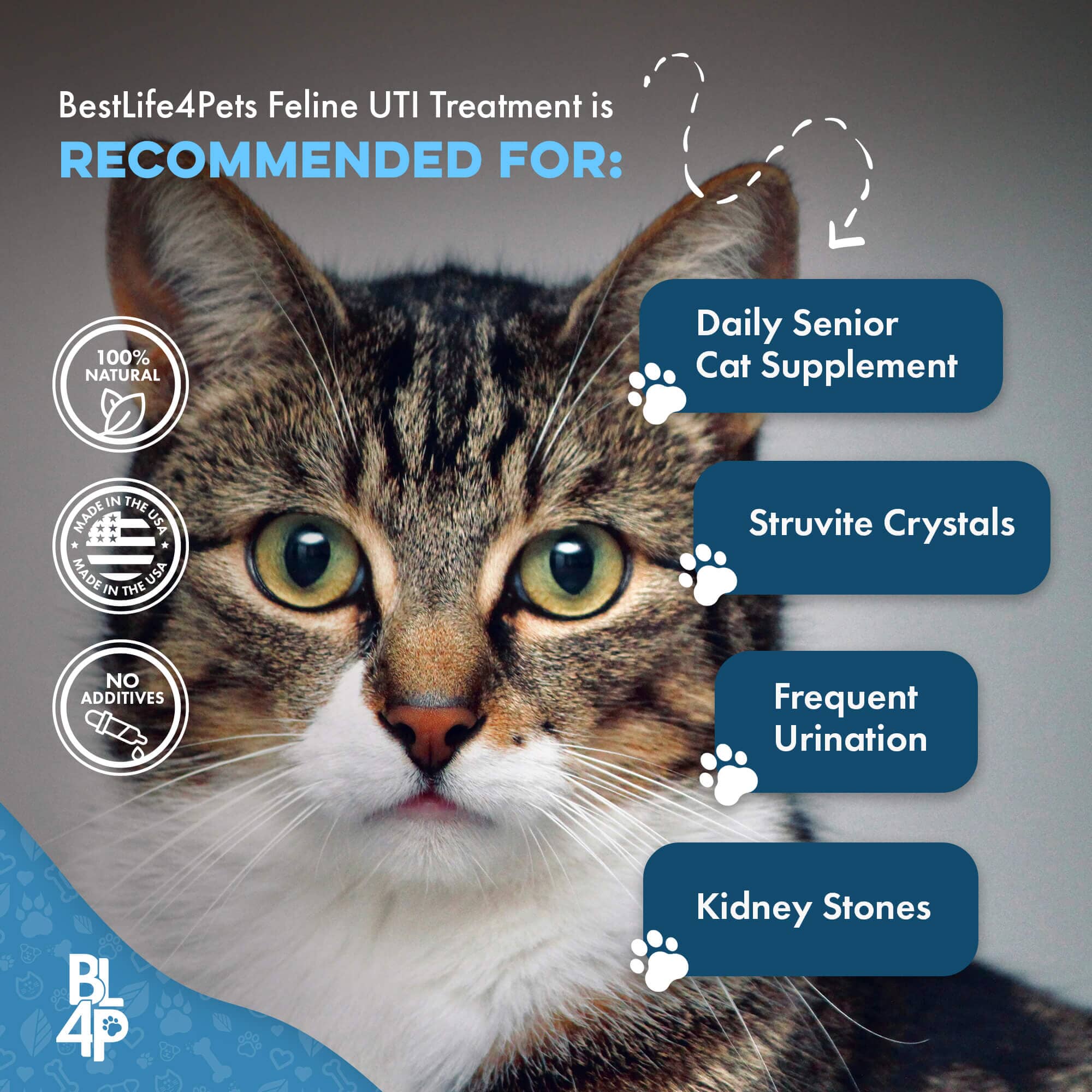 Natural Cat UTI & Kidney Remedy - Reduces Infections and Supports Optimal Bladder Function by BestLife4Pets