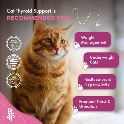 Hyperthyroidism Supplement for Cats - Helps Cat Weight Gain by BestLife4Pets