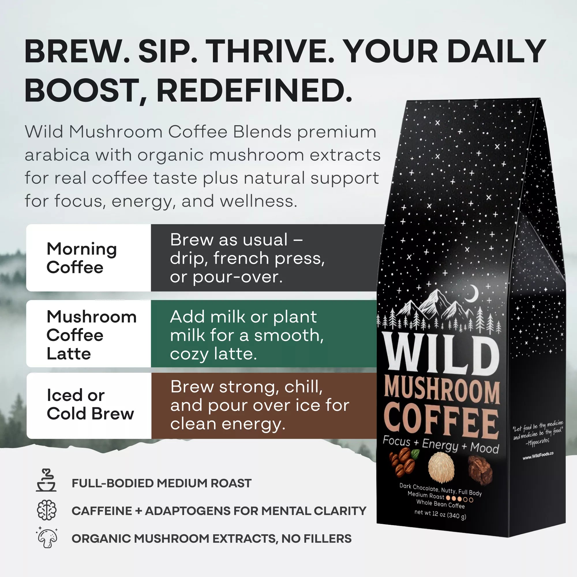 Wild Mushroom Coffee (Medium Roast) — Focus + Energy + Mood