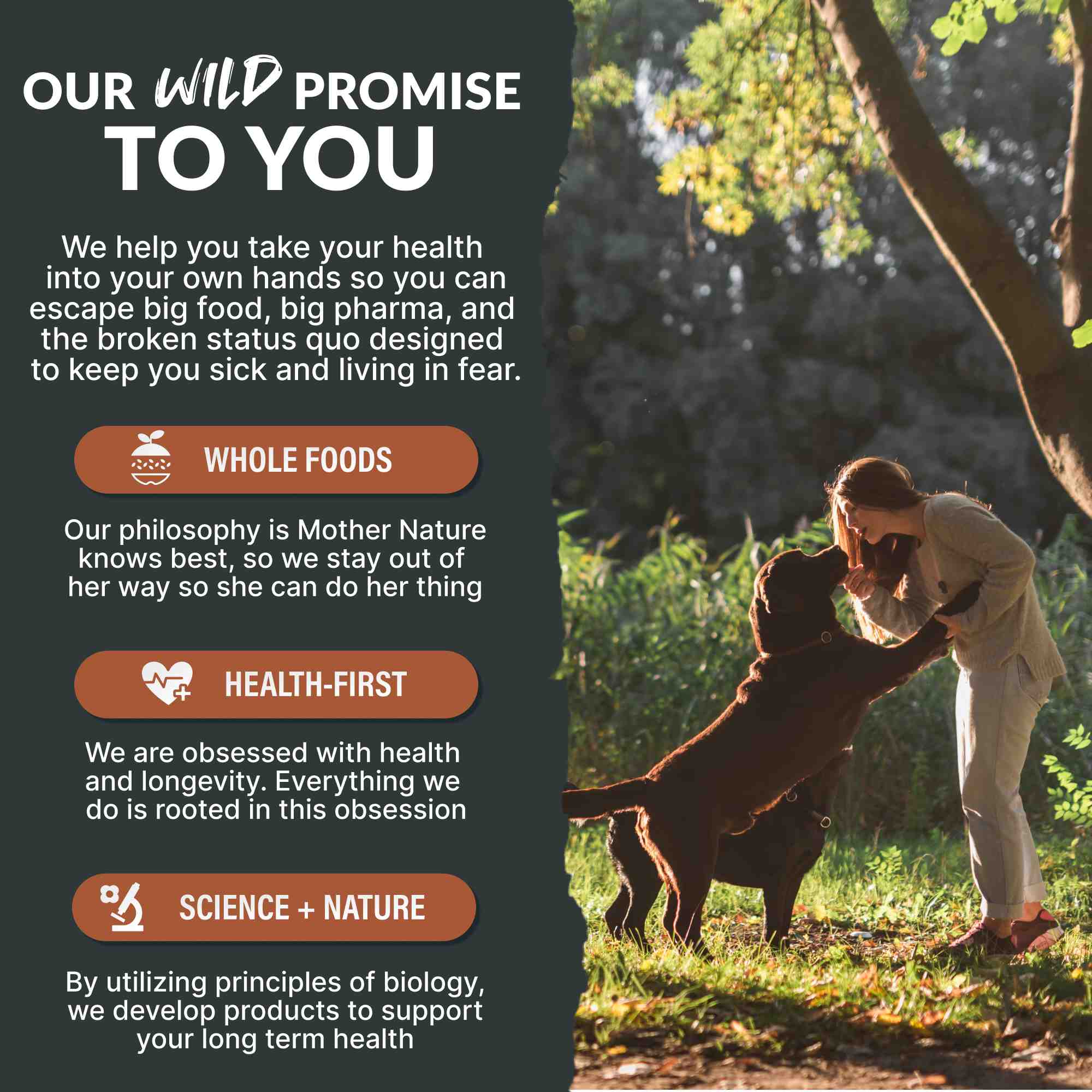 Wholesale of 10 - Wild Pets Bundle