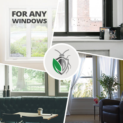 Window Fly Traps – 12 Pack | Transparent Sticky Fly Trap for Windows by EcoPest Supply